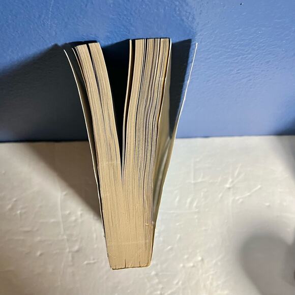 Whiteout - Book by Ken Follett - Picture 4 of 8